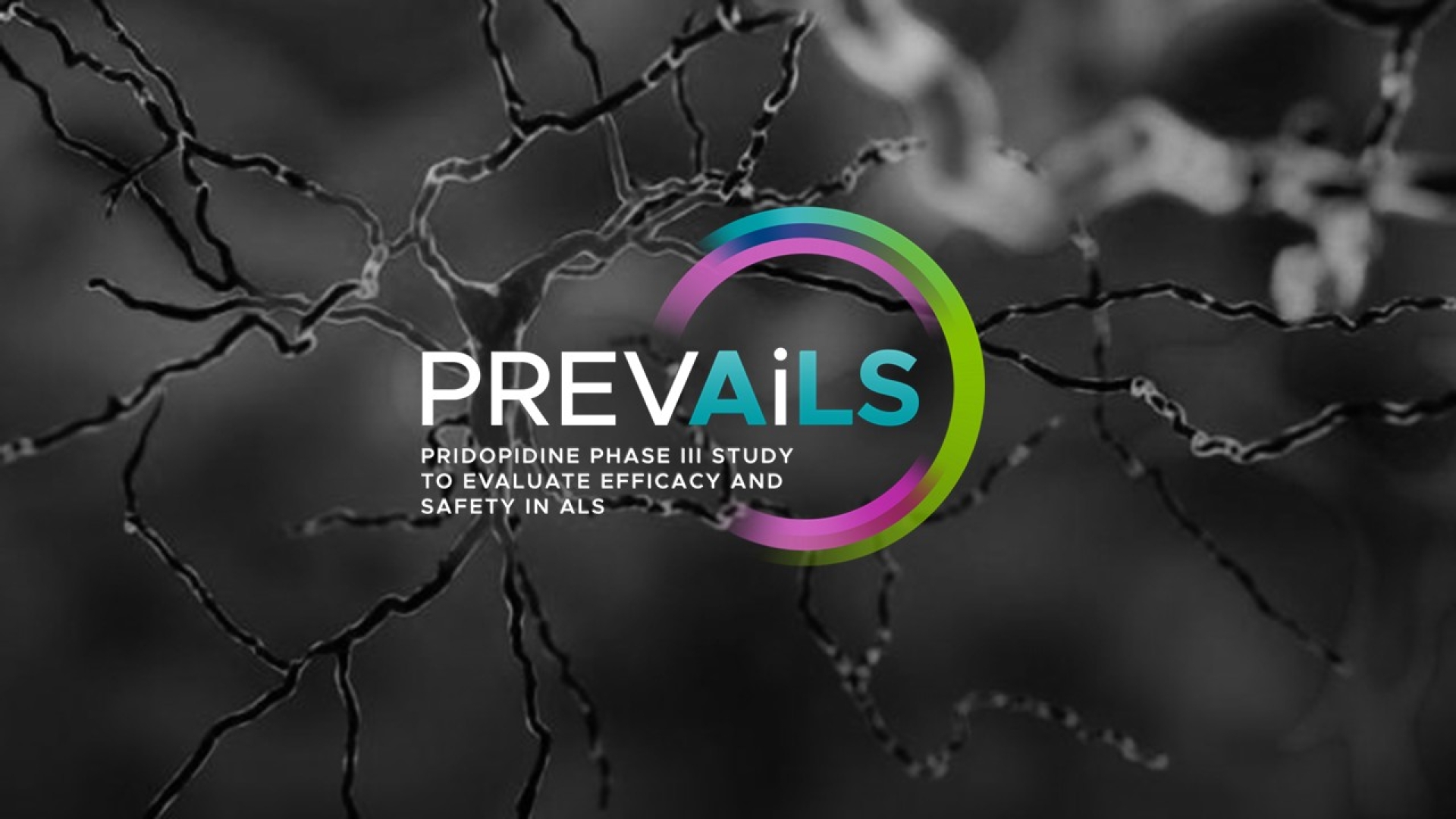 Logo prevails